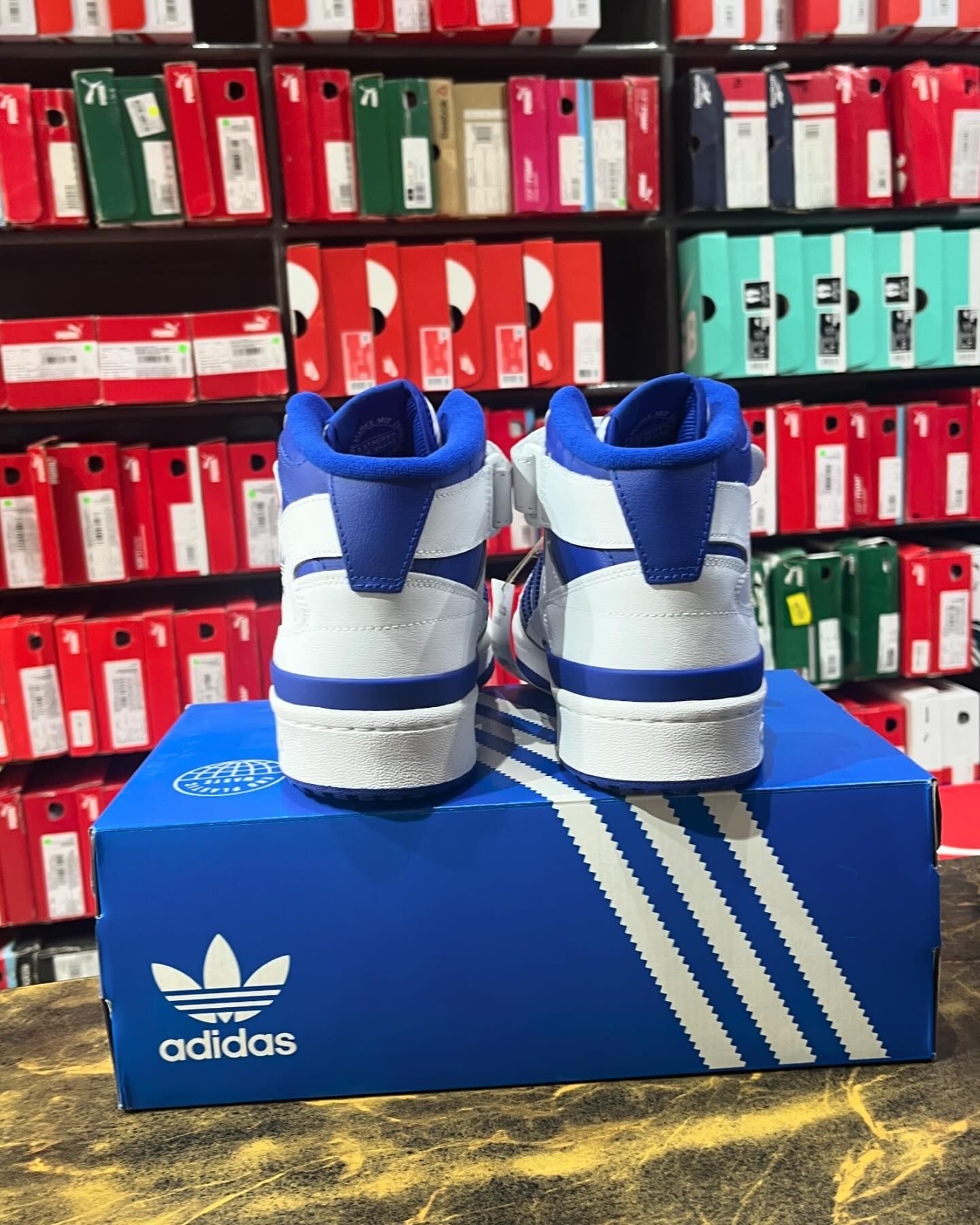 Adidas Forum Mid Rt Basics - Shoe Boxs