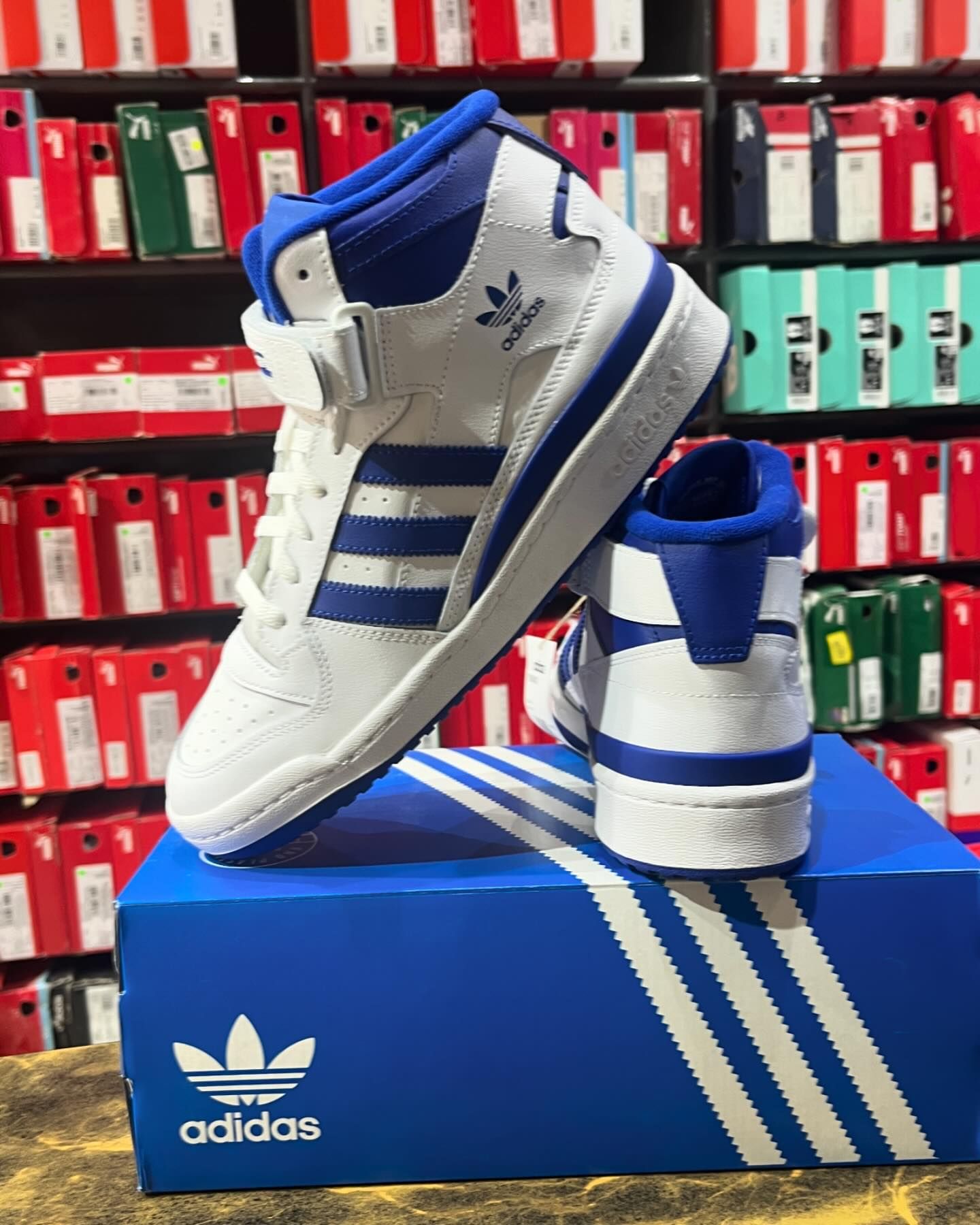 Adidas Forum Mid Rt Basics - Shoe Boxs