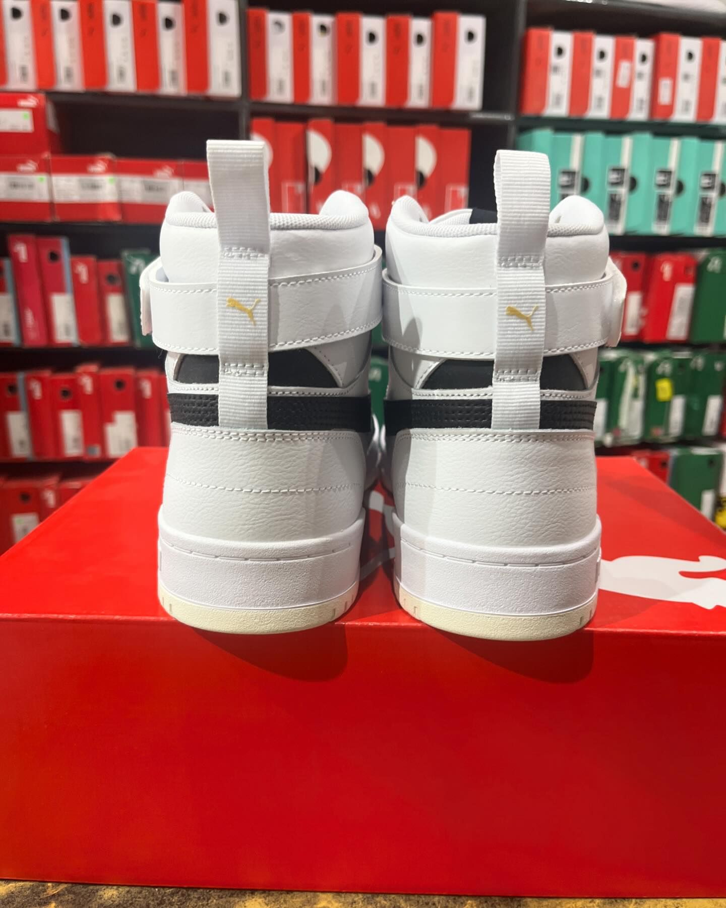 Puma High ZI White - Shoe Boxs